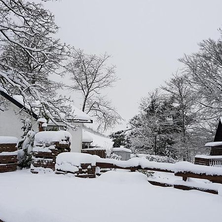 Villa Winterberg Mollseifen Exterior photo